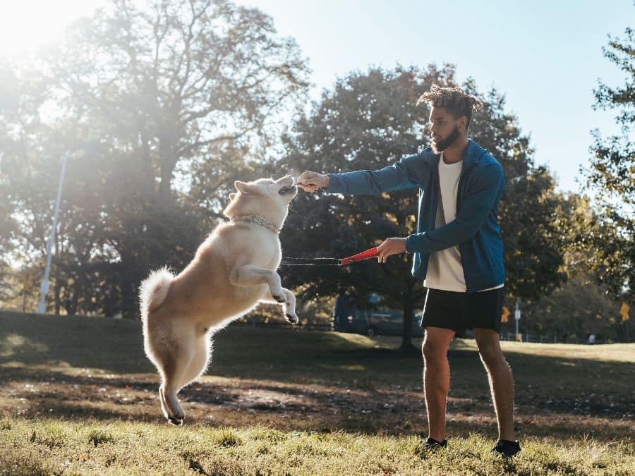 Dog Park Safety: Can You Sue for Personal Injury if Bitten by an Off-Leash Dog?